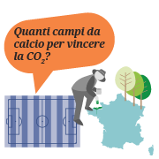 Quanti campi da calcio di foresta devo piantare per compensare le mie emissioni?