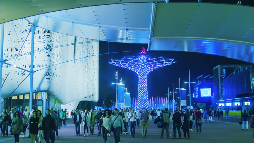 Quale tra queste Organizzazioni Internazionali vorreste visitare a Expo 2015?