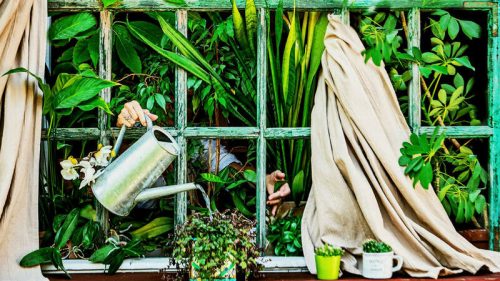 Come funziona il Bonus verde e a chi spetta